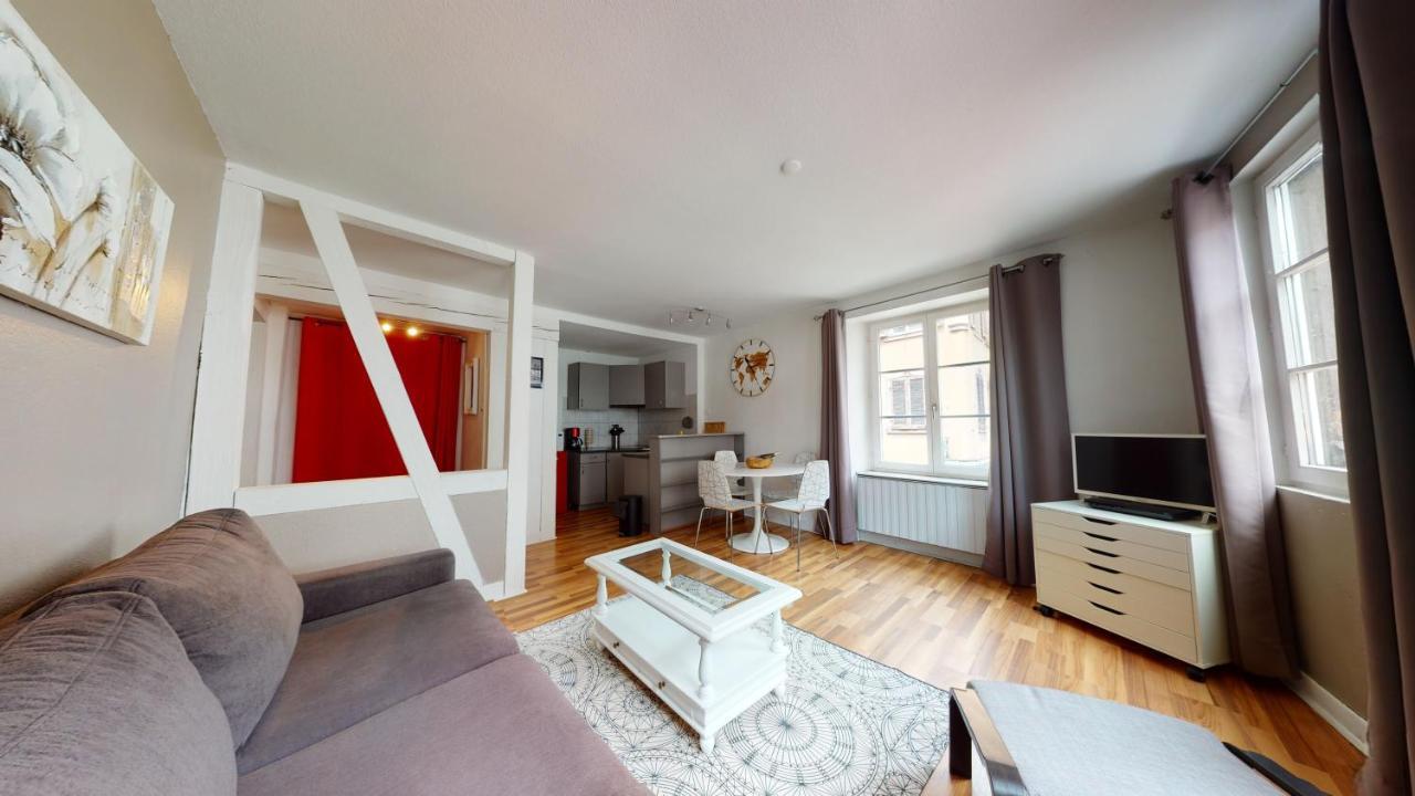 Appartment Petite Venise Centre Historique Кольмар Экстерьер фото